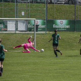 peuerbach-st_stefan_1-2_01-05-2025-38