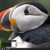 rl2optionsnotdisplayed1