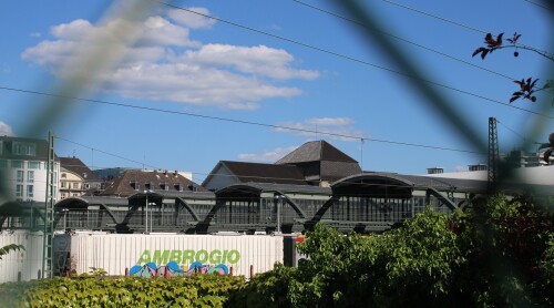 Darmstadt Hauptbahnhof Jugendstil 2025 Mai Hbf Jugendstil Bahnhofshalle Konstruktion Nieten Schwung 