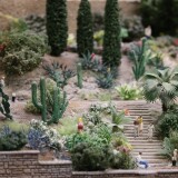 Miniaturwunderland_Hamburg_Miwula_Italien_Kakteen_Park-10