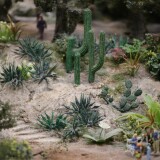 Miniaturwunderland_Hamburg_Miwula_Italien_Kakteen_Park-13