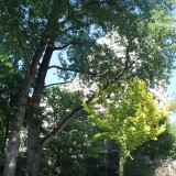 Darmstadt_Hundertwasserhaus_Hundertwasser_letztes_Haus_Projekt_2025_Mai-2