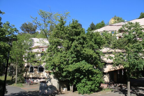 Darmstadt Hundertwasserhaus Hundertwasser letztes Haus Projekt 2025 Mai (20)
