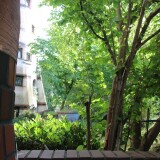 Darmstadt_Hundertwasserhaus_Hundertwasser_letztes_Haus_Projekt_2025_Mai-4