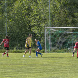 fc_perg-altenfelden_1-3_17-05-2025-030