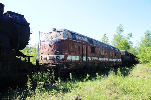 V 180 DR 119 BR 219 Tuttlingen Dampflok BW Verein Drehscheibe Museum Ausstellung Lost place (3)