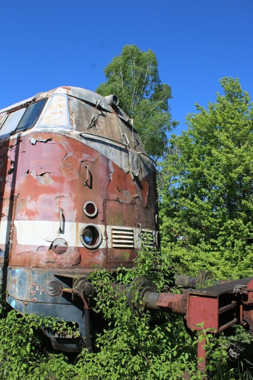 V 180 DR 119 BR 219 Tuttlingen Dampflok BW Verein Drehscheibe Museum Ausstellung Lost place (4)