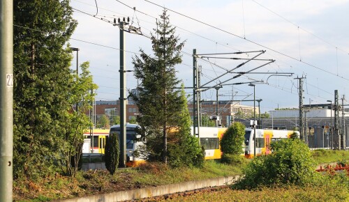 Boblingen_Hbf_Hauptbahnhof_2025_Mai-12_VT_650_Schonbuchbahn.jpg