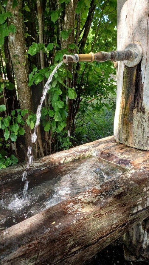 Brunnen-20250611_101927.jpg