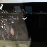 BR_96_GT_2-4x4_Spur_2_Museum_Scharfberg_grun-3