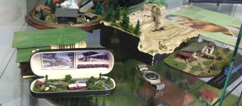 Diorama_Kleinst_Brillenetui_Spur_2_Museum_Verein_Schramberg.jpg