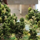 Jungsteinzeit_7000_Jahre_Anbau_Bauern_Fischen_Jagen_deutsche_Geschichte_Miniaturwunderland_Hamburg-6