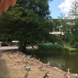 Deutsch_franzosischer_Park_Saarbrucken_Bahn_Porsche_d