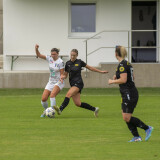 nebelberg-niederthalheim_1-0_23-08-2025-23