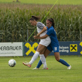 dorf-nebelberg_2-2_30-08-2025-033