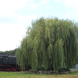 DB_Museum_Koblenz_Drehscheibe-5