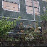 DR_DDR_Salonwagen_Regierungszug_DB_Museum_Koblenz-3