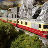 AE_6_8_BLS_TEE_Milano_rot_Trans_Europ_Express-1