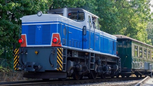BR_251_V51_blau_Schmalspurbahn_Diesellok_RBB_Bahngarfield_Christian-a.jpg