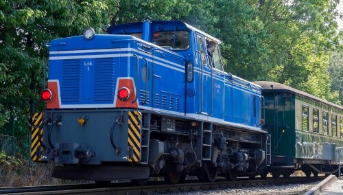 BR_251_V51_blau_Schmalspurbahn_Diesellok_RBB_Bahngarfield_Christian.jpg