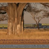 BR_19_1001_Dampfmotorlok_Henschel_1_F_3_Wustenlok_1942_BR_46_BR_53_BR_52_Kondenstender_DRG-3