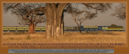 BR 19 1001 Dampfmotorlok Henschel 1 F 3 Wüstenlok 1942 BR 46 BR 53 BR 52 Kondenstender DRG (4)