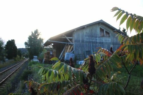 Mohringen_Bahnhof_Holz_Lokschuppen_2025_09-3.jpg