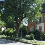 Mohringen_Bahnhof_Stadt_DB_Regio_2025_09-1