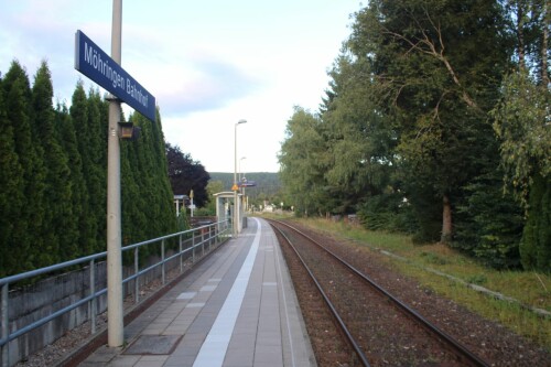 Mohringen_Bahnhof_Stadt_DB_Regio_2025_09-16.jpg