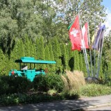 Walze_Dampfwalze_historisch_Mohringen_Stadt_Rundgang_2025_09-1