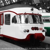 Olivier-Gulliot-grun-5-30-20-rot-70-10-10-u.-26-1-1-schw-20