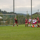 frankenburg-eberstalzell_3-3_12-10-2025-006