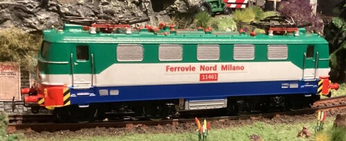 E_10_BR_110_ferrovie_Nord_Milano_BR_218_Hampi61-1.jpg