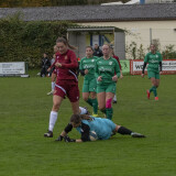 kremsmuenster-schweinbach_0-4_18-10-2025-15