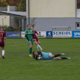 kremsmuenster-schweinbach_0-4_18-10-2025-24