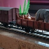 ab_Guterzugwagen_Transnamib_Namibian_railway_Elefant_Queen_Guterzug_Eisenbastler_Helmut