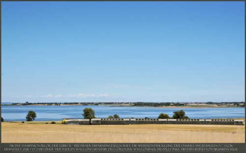 BR_19-1001_BR60_LBE_BR_77_BR_63-Dampfmotorlok_Lubeck_Buchener_Eisenbahn_Ostsee-1.jpg