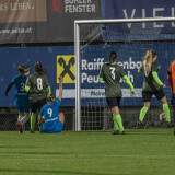 peuerbach-lsc_linz_9-1_31-10-2025-090