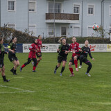 fnz-fc_perg_2-5_02-11-2025-017