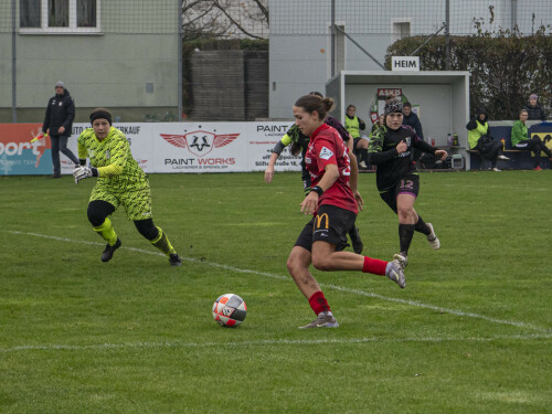 fnz-fc_perg_2-5_02-11-2025-024.jpg