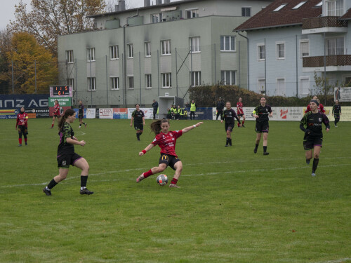 fnz-fc_perg_2-5_02-11-2025-091.jpg