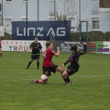 fnz-fc_perg_2-5_02-11-2025-092