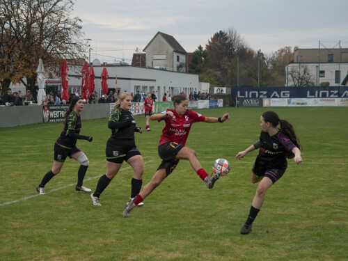 fnz-fc_perg_2-5_02-11-2025-115.jpg