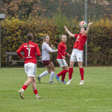 schweinbach-dorf_3-1_08-11-2025-09