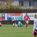 schweinbach-dorf_3-1_08-11-2025-15