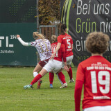 schweinbach-dorf_3-1_08-11-2025-22