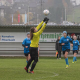 neuhofen-waldneukirchen_1-0_09-11-2025-18