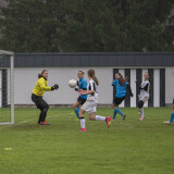 neuhofen-waldneukirchen_1-0_09-11-2025-47