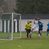 neuhofen-waldneukirchen_1-0_09-11-2025-49