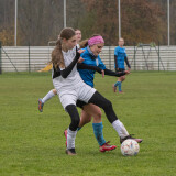 neuhofen-waldneukirchen_1-0_09-11-2025-71